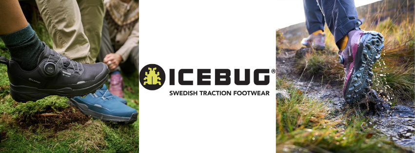 ICEBUG-logo